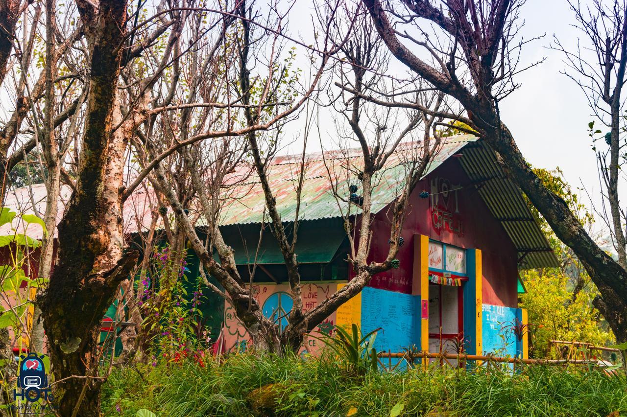 Hots Nainital Ostello Patwa Dunga Esterno foto